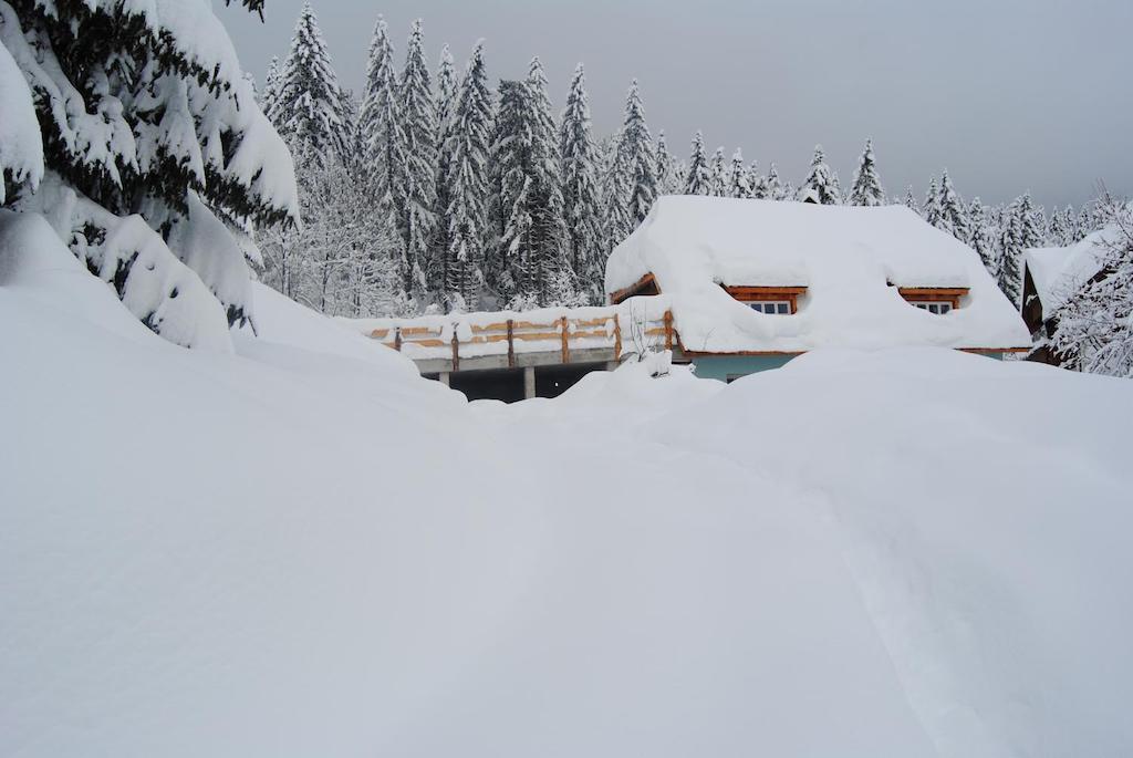 La Lince Lodge Camporosso  Extérieur photo