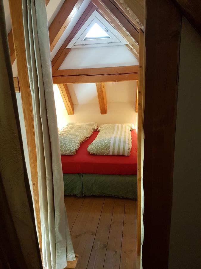 La Lince Lodge Camporosso  Extérieur photo